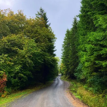 Bb Grindhuset Λάρβικ