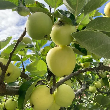 Bb Grindhuset בית נופש