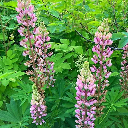 Bb Grindhuset Casa de Férias Larvik