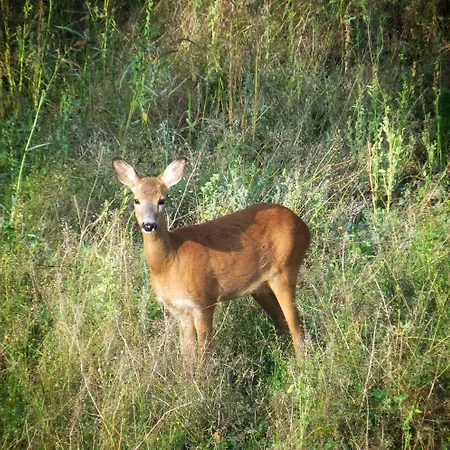 Bb Grindhuset Larvik