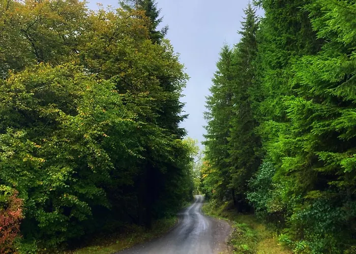 Bb Grindhuset Larvik