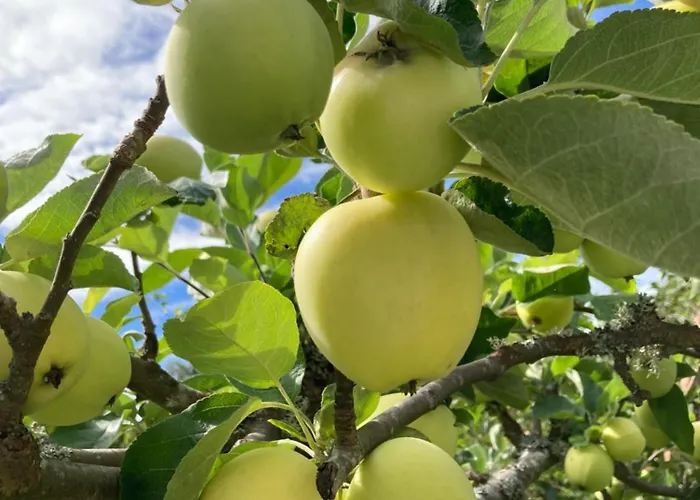 Bb Grindhuset Feriehus