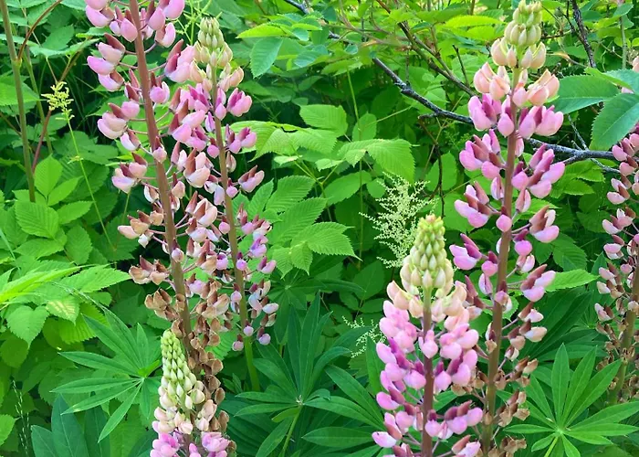 Bb Grindhuset Feriehus Larvik