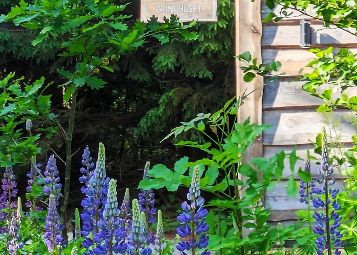 Bb Grindhuset Feriehus *